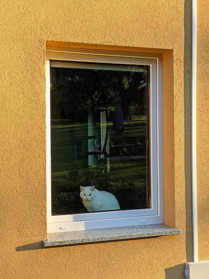 Gajowka Villa Radkow Bagian luar foto
