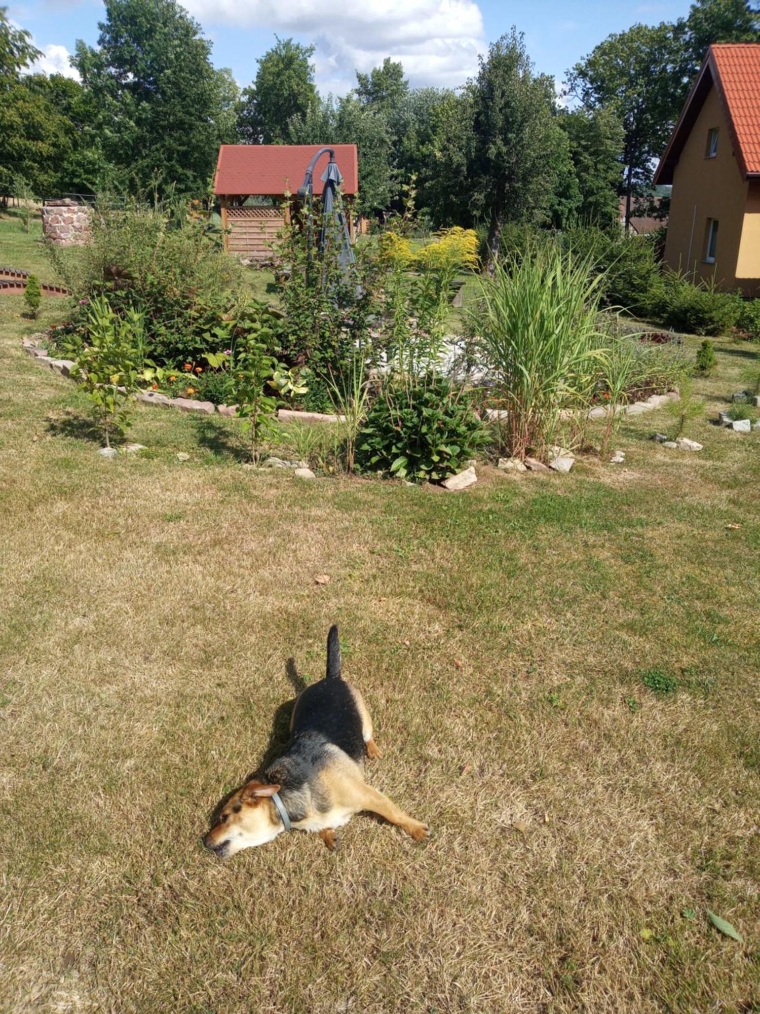 Gajowka Villa Radkow Bagian luar foto